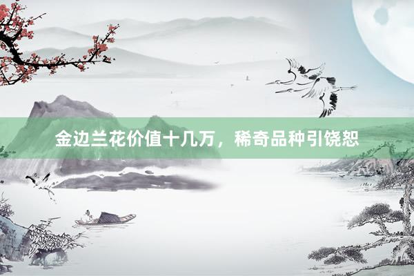 金边兰花价值十几万，稀奇品种引饶恕